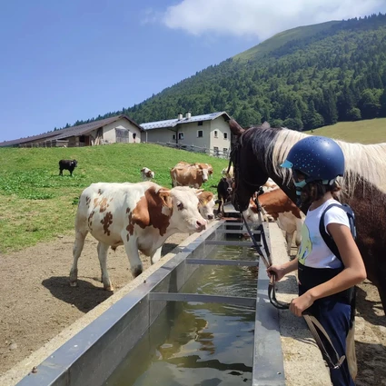 Passeggiata a cavallo con pranzo in rifugio 10 Passeggiata a cavallo con pranzo in rifugio 10